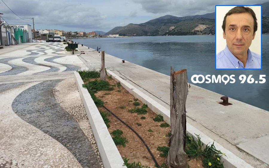 Κοντά στον εντοπισμό του ανεγκέφαλου που κόβει τους κοκοφοίνικες - Δηλώσεις Σαμούρη