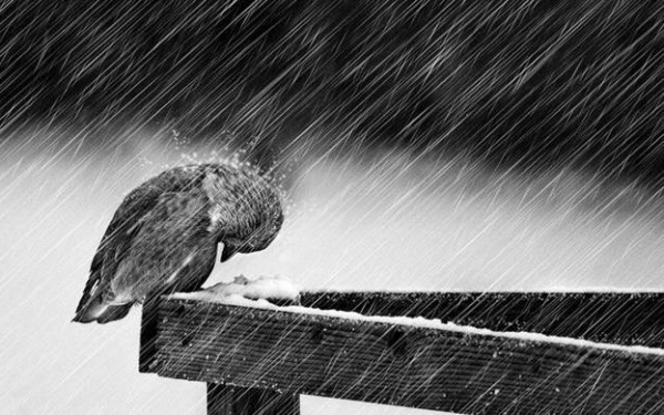 Καιρός για... ομπρέλα και την Τρίτη!