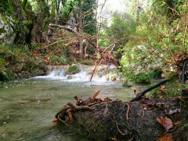 Στους Καταρράκτες του Πόρου ο Ορειβατικός Σύλλογος (εικόνες)