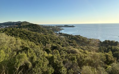 Απαγόρευση κυκλοφορίας σε περιοχές υψηλού κινδύνου πυρκαγιάς στην Κεφαλονιά από 25 έως 26 Ιουλίου