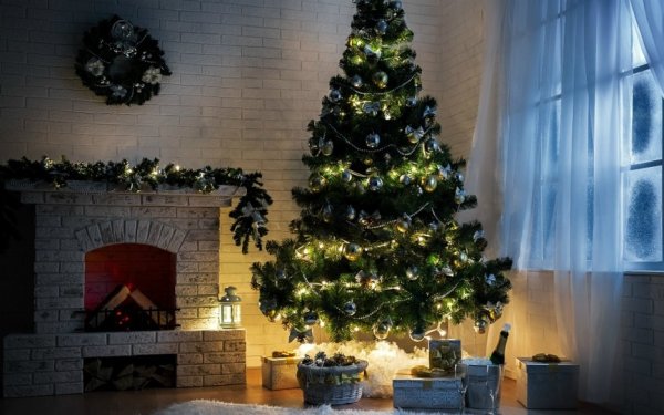 Σπυρίδων Θεοτοκάτος: ''Μήπως είναι φέτος η στιγμή;''