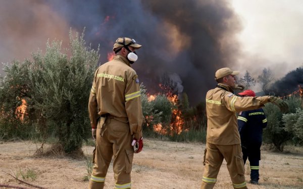 Μάχη με τις φλόγες στην Ηλεία