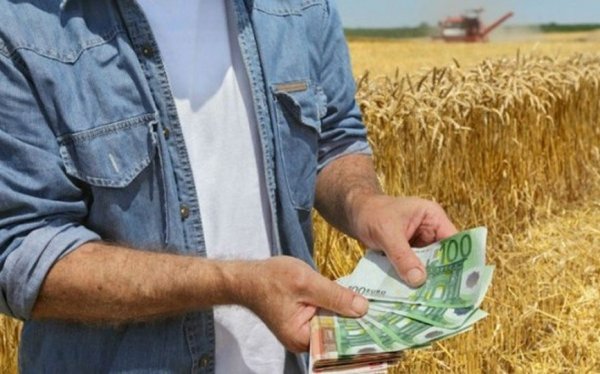 Επιδοτήσεις σε αγρότες πριν τα Χριστούγεννα - Ποιοι πληρώνονται