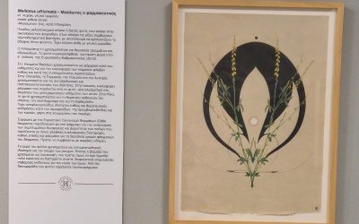 Ίδρυμα Φωκά Κοσμετάτου - Βοτανικός Κήπος: Ολοκληρώνεται σήμερα η εικαστική έκθεση στο Θέατρο «Κέφαλος» για τα Ιαματικά Φυτά