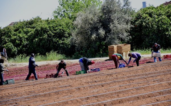 Οι Έλληνες εργάζονται περισσότερο στην ΕΕ, αλλά παίρνουν τα λιγότερα
