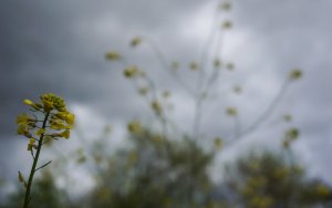 Κλέαρχος Μαρουσάκης: Κατεβαίνει ψυχρή αέρια μάζα - Πέφτει η θερμοκρασία και έρχονται βροχές