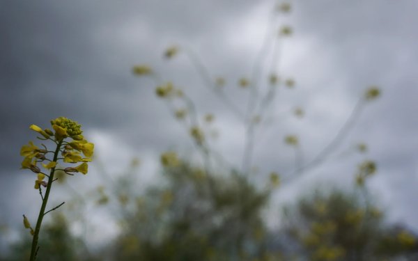 Κλέαρχος Μαρουσάκης: Κατεβαίνει ψυχρή αέρια μάζα - Πέφτει η θερμοκρασία και έρχονται βροχές