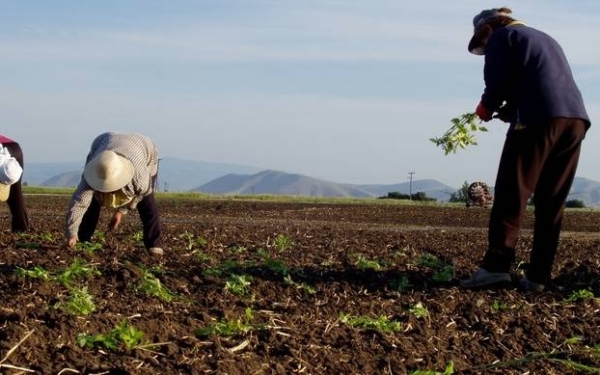 Ε.Α.Σ.: Τρίτη παράταση για τις εισφορές υπέρ ΕΛΓΑ