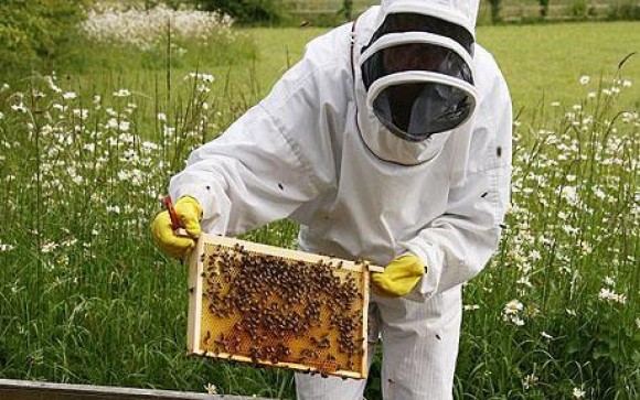 Ε.Α.Σ. : Χρηματοδοτήσεις  ντόπιων Μελισσοκόμων