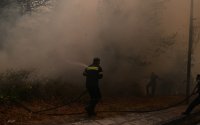 Φωτιά στη Λευκάδα σε δάσος στην περιοχή Αθάνι: Σηκώθηκε ελικόπτερο