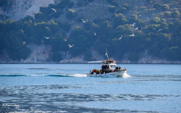 Μια βόλτα ως τους Βαρδιάνους... (εικόνες)