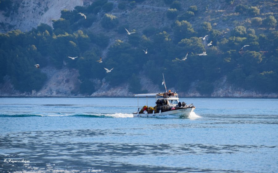 Μια βόλτα ως τους Βαρδιάνους... (εικόνες)