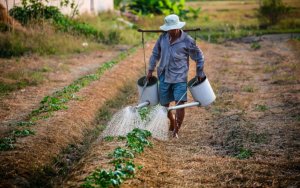 Μητρώο Αγροτών (Μ.Α.Α.Ε.): Μάθετε γιατί είναι απαραίτητο και πώς σας βοηθά ο Ε.Α.Σ.