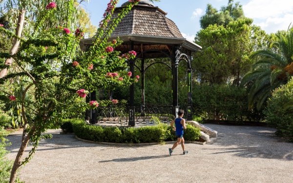 Βραδιές Γαλλικού Κινηματογράφου στο Νάπιερ (πρόγραμμα)