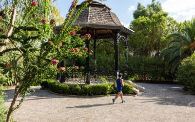 Βραδιές Γαλλικού Κινηματογράφου στο Νάπιερ (πρόγραμμα)