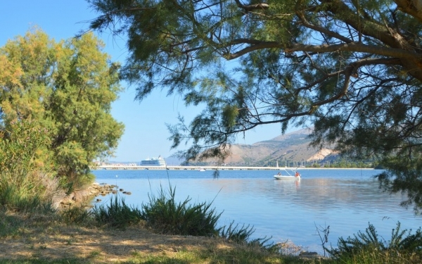 Κούταβος: Βόλτα στον υδροβιότοπο του Αργοστολίου για μικρούς και μεγάλους (εικόνες)