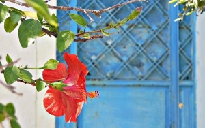 Αύγουστος στην Κεφαλονιά μέσα από τον φακό της Πόπης Κονιδάρη (εικόνες)