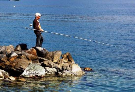 «Για δυο νεκρούς κύκνους τιμωρούνται όλοι οι ερασιτέχνες ψαράδες»