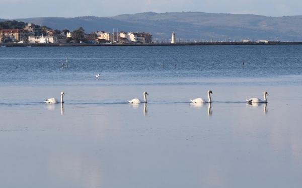 Πρωινές βόλτες στον Κούταβο- Υπέροχες εικόνες!