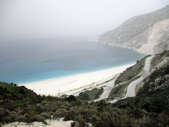 Μύρτος σκουντούφλης , σήμερα (εικόνες)