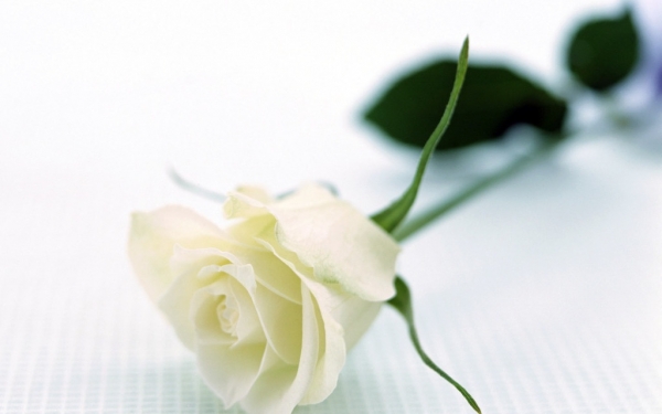 Για την απώλεια του Γεράσιμου Βλάχου