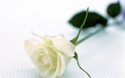 Για την απώλεια του Γεράσιμου Βλάχου