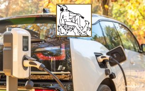 31 φορτιστές ηλεκτρικών οχημάτων στο Δήμο Αργοστολίου - Τα σημεία εγκατάστασης