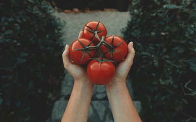 5 λαχανικά που είναι πιο υγιεινά μαγειρεμένα παρά ωμά, σύμφωνα με διαιτολόγους
