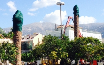 ΣΥ.ΡΙΖ.Α. Κραναίας: «Το κόκκινο σκαθάρι και η επόμενη μέρα»