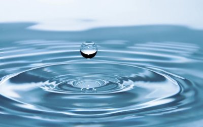 Εμφιαλωμένο νερό: Η «άγνωστη» διαφορά μεταξύ φυσικού μεταλλικού νερού και επιτραπέζιου