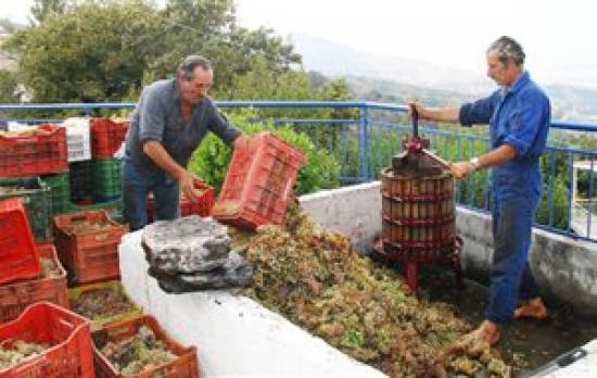 Πως αυξάνεται ο βαθμός του μούστου