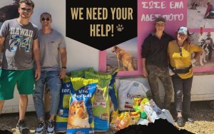 Δράση αλληλεγγύης για το καταφύγιο αδέσποτων ζώων ARK - Δείτε τους τρόπους που μπορείτε να βοηθήσετε