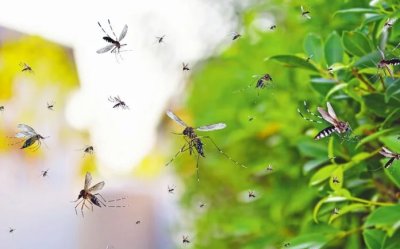 Ψεκασμοί σε Κεφαλονιά και Ιθάκη για την καταπολέμηση των κουνουπιών