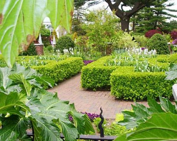 Kefalonian Gardens : Αποκτήστε σχέδια για τον κήπο σας σε τιμή έκπληξη