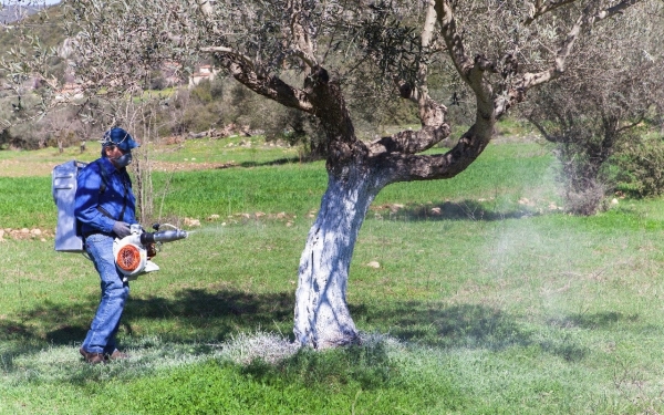 Περιφέρεια: Α&#039; Δολωματικός ψεκασμός Προγράμματος Δακοκτονίας 2018
