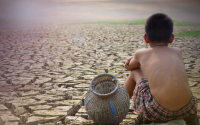 Μήνυμα του ΙΚΙ με αφορμή την παγκόσμια ημέρα για την καταπολέμηση της ερημοποίησης