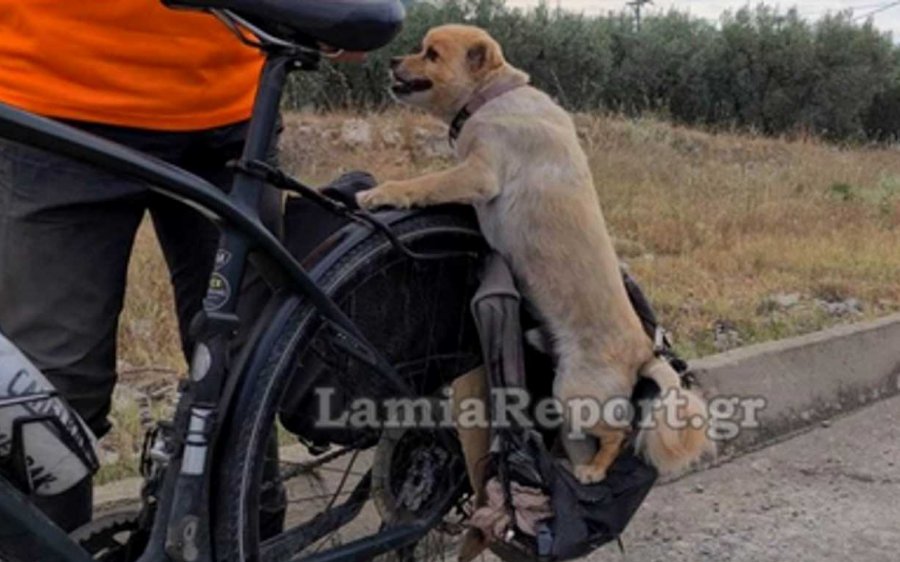 Λαμία: Η ποδηλατάδα που έγινε θέμα συζήτησης και ήταν αδύνατον να περάσει απαρατήρητη