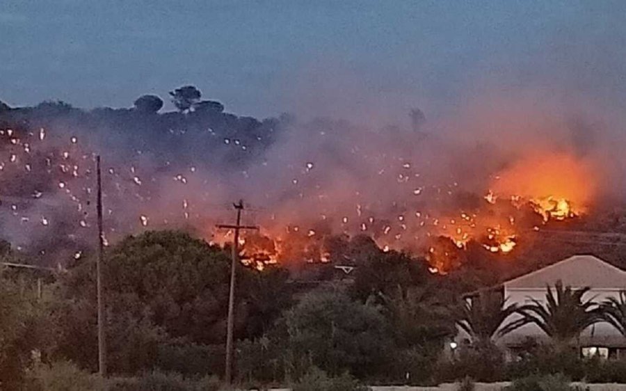 Φωτιά στη Ζάκυνθο: Καταγγελίες για εμπρησμό – Κάηκαν αιωνόβιες ελιές