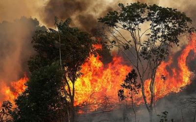 Φλέγεται ο «πνεύμονας» της Γης: Θλιβερές εικόνες από τον Αμαζόνιο
