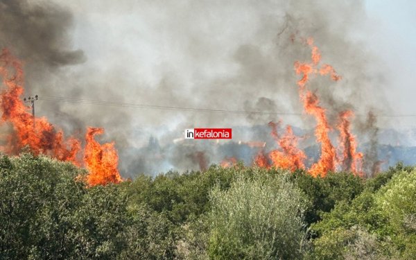 Πρωτοφανής κινητοποίηση για την κατάσβεση της πυρκαγιάς στη Λειβαθώ με 9 εναέρια μέσα
