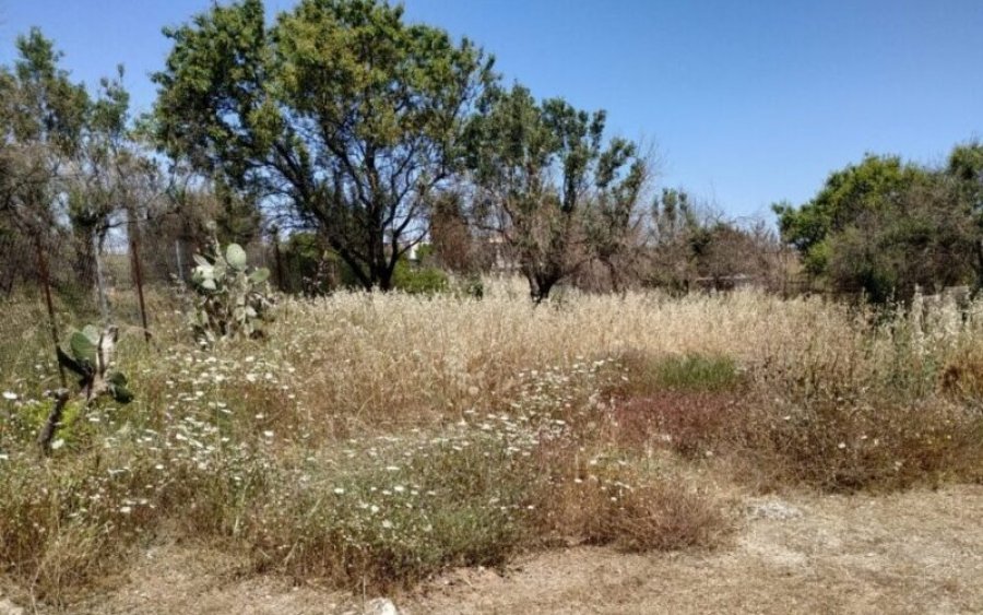 Yποχρεωτικός ο καθαρισμός οικοπέδων -Πρόστιμο & φυλάκιση για αμελείς ιδιοκτήτες