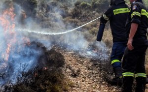 Κεφαλονιά: Πρόστιμο για πρόκληση πυρκαγιάς σε άνδρα που εκτελούσε οικοδομικές εργασίες στην Λακήθρα