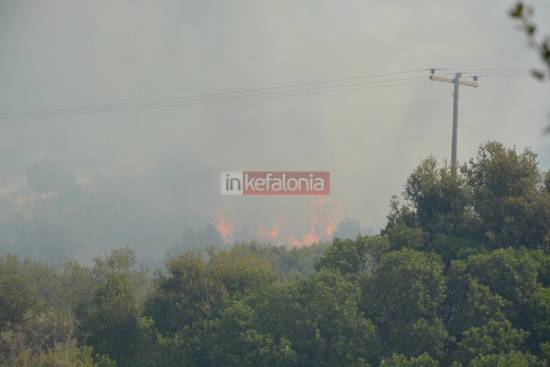 «Στάχτη» 400 στρέμματα από τη μεγάλη πυρκαγιά στον Καραβάδο – σώθηκαν κατοικίες (εικόνες και video)