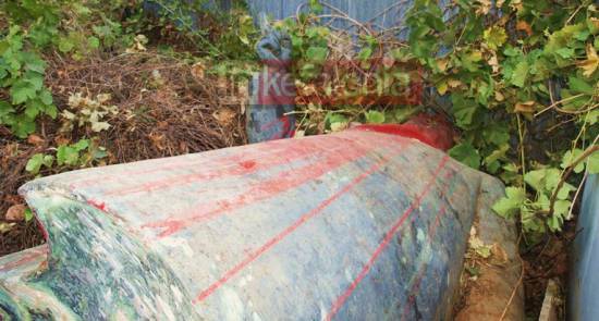 Η Χρυσή Αυγή σχολιάζει αιχμηρά την απάντηση του Δήμου για το άγαλμα του Ι. Μεταξά