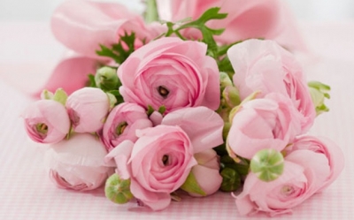 Το Γηροκομείο Αργοστολίου ευχαριστήσει τους μαθητές του 2 ου Γυμνασίου Αργοστολίου