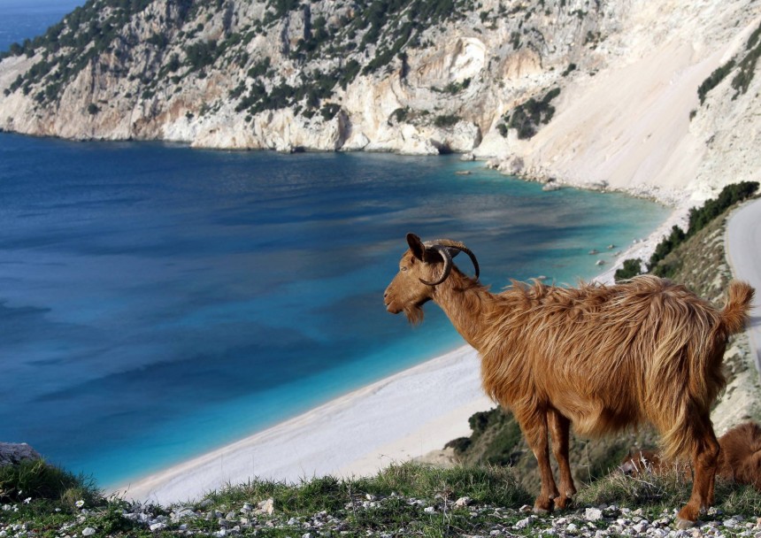 Αγναντεύοντας τον Μύρτο...