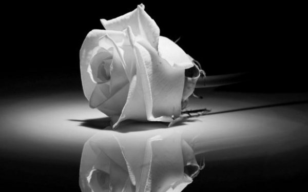 Συλλυπητήριο μήνυμα Θεόφιλου Μιχαλάτου για την απώλεια του Διονύση Ματιάτου: ''Τα λόγια είναι περιττά αυτές τις στιγμές…''