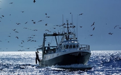 Περιφέρεια: Ανανεώσεις των επαγγελματικών αδειών αλιευτικών