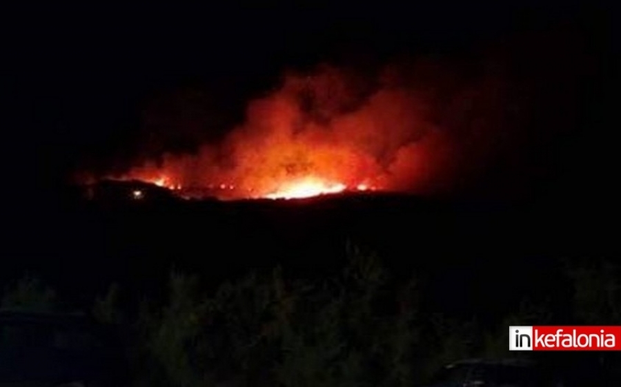 20 στρέμματα καμένης γης άφησε πίσω της η φωτιά στην Σκάλα (Ανανεωμένο - εικόνες - video )