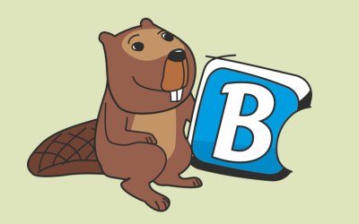 Μαθητές του 1ου Γυμνασίου Αργοστολίου ξεχώρισαν στον Διαγωνισμό BEBRAS